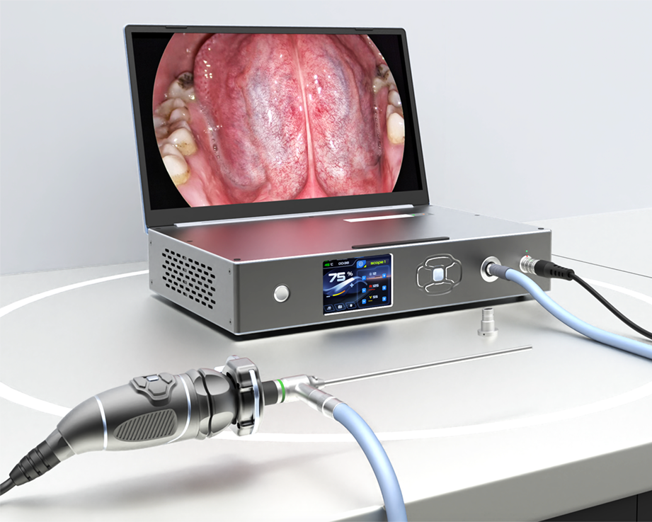 Portable endoscopy system