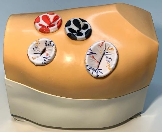VATS Simulator with standard color-codded wound retractors