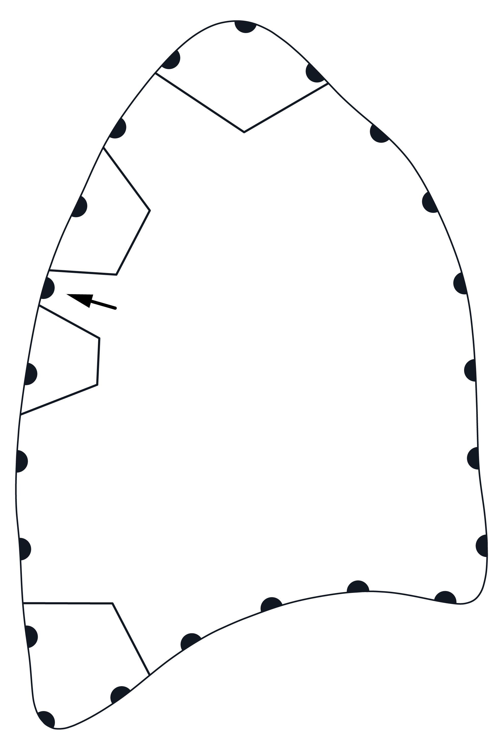 version 1.2